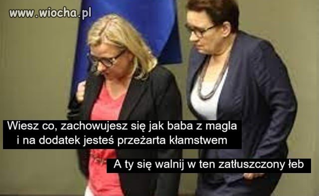 Koleżanki po fachu.