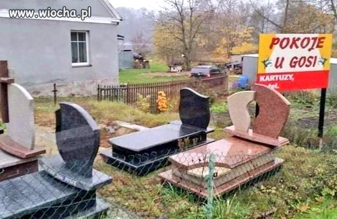 Kusząca oferta! 