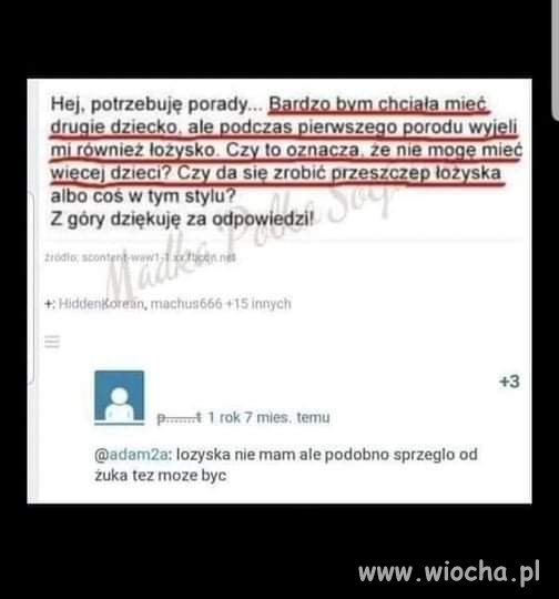 Mądrości 