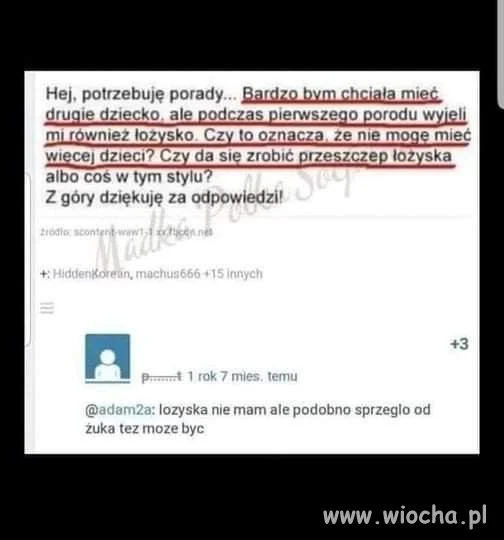 Mądrości 