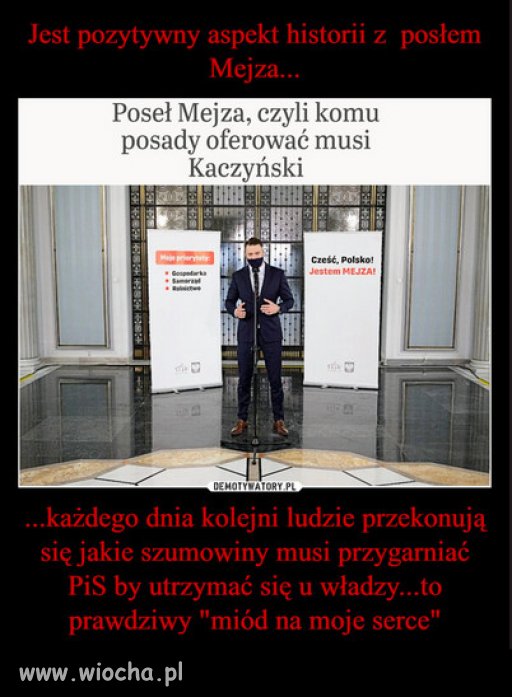 Czy PiS to partia szumowin?