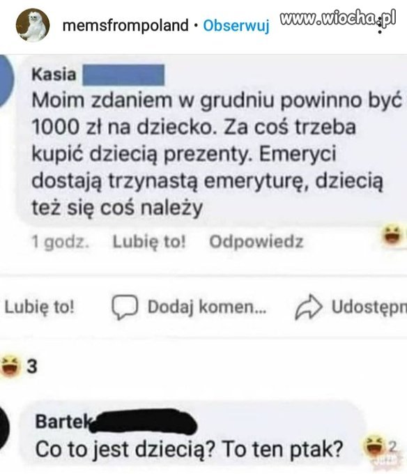 1000 na ptaka...