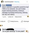 1000 na ptaka...
