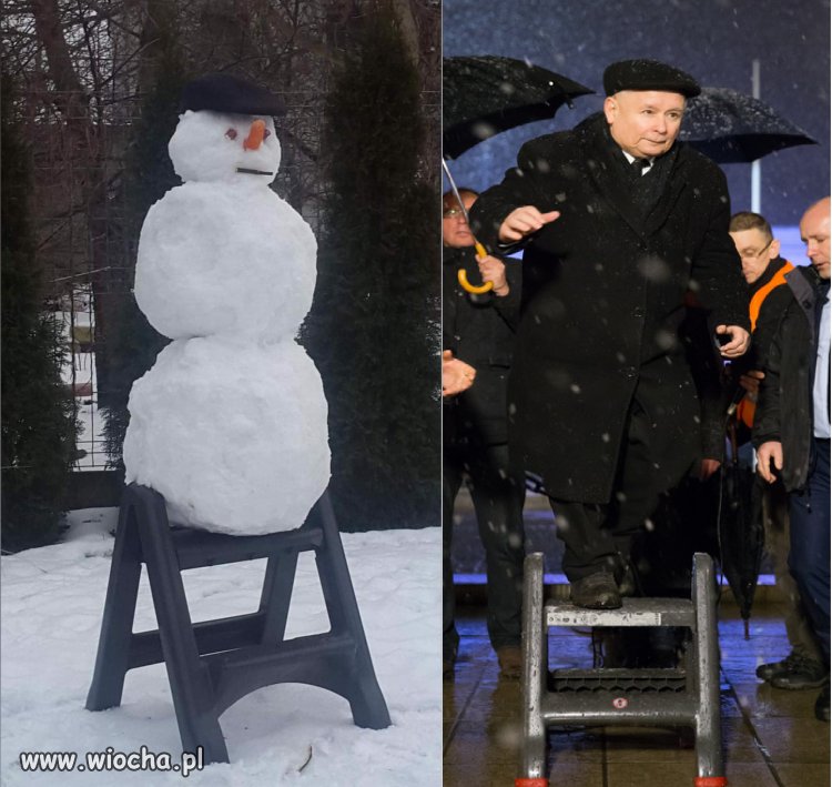 Wuc jak żywy
