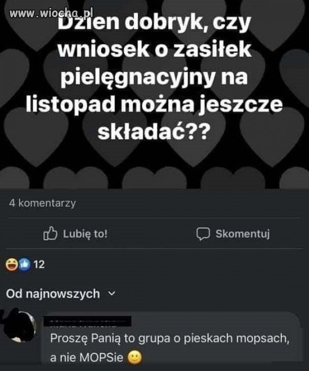 Mops to mops i tyle