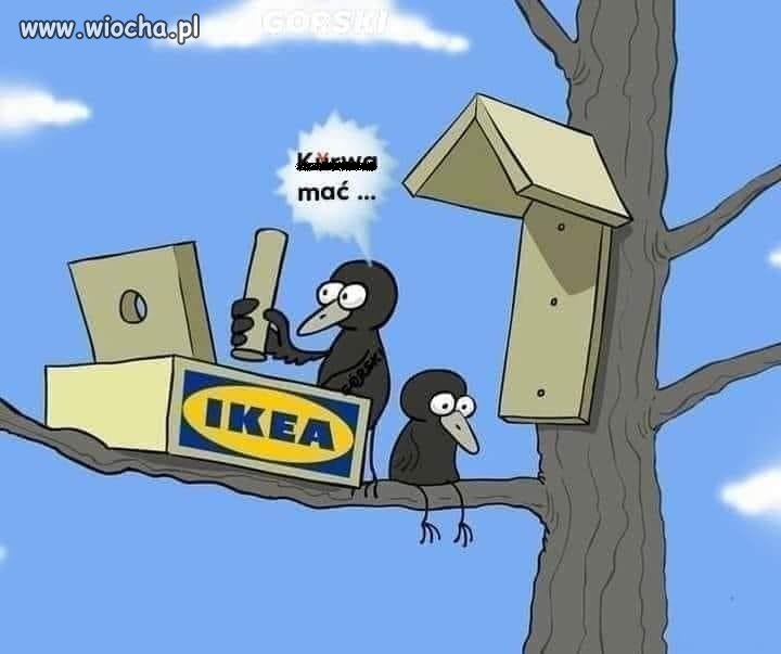 Tak bywa