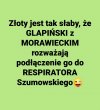 Świetny 