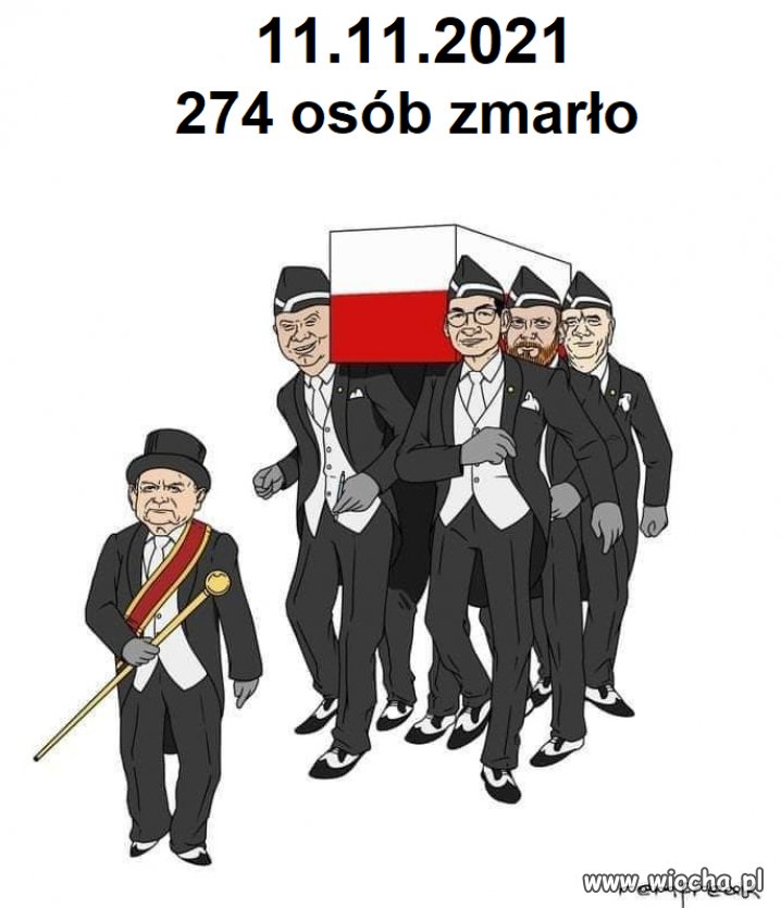 11.11.2021.  19 074 nowych zakażeń. 274 zmarło. 