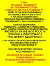 Nowi ``Zolnierze Wykleci`` PiSu?