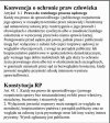 To zdelegalizowała nielegalnie wybrana kuchara