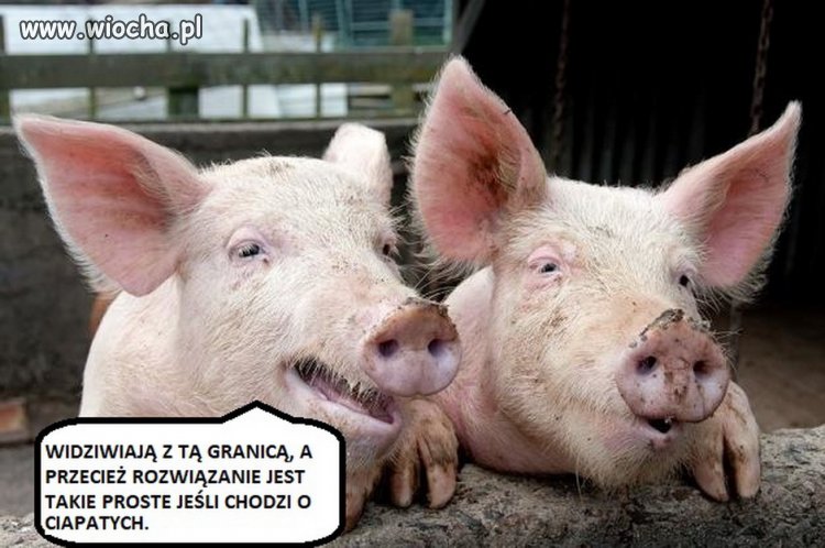 Rozwiązanie problemu