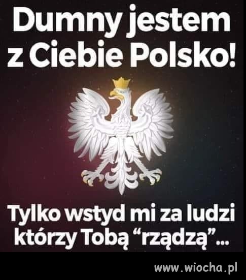 Dokładnie tak.
