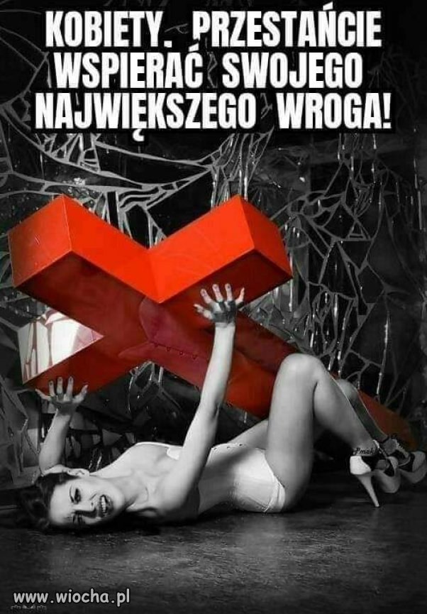 Nie pojmuję jak kobiety mogą wspierać organizację, która z założenia jest wrogiem kobiet