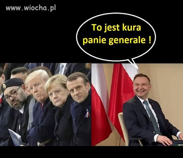 Nie...to jest osioł
