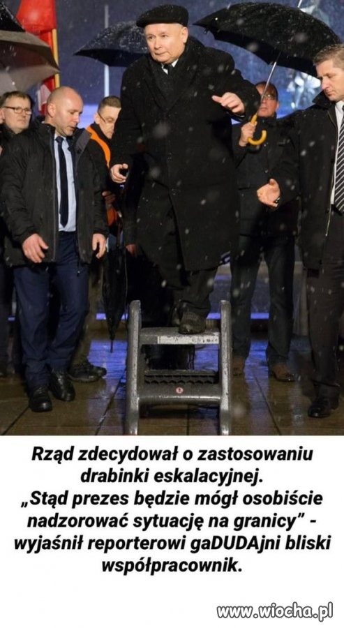 Prezes w akcji.