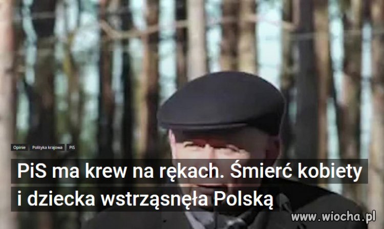 Dzisiaj ta partia ma krew niewinnych istot na  rękach.
