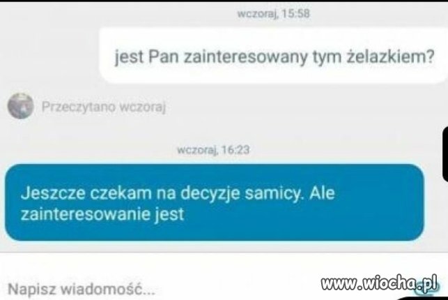Samica jeszcze się zastanawia 