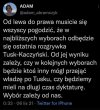 Ostatnie wybory ...