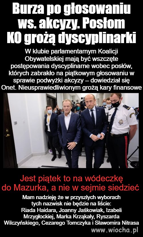 Leniwe koty PO