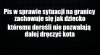 Dopadła ICH sraka nie byle jaka