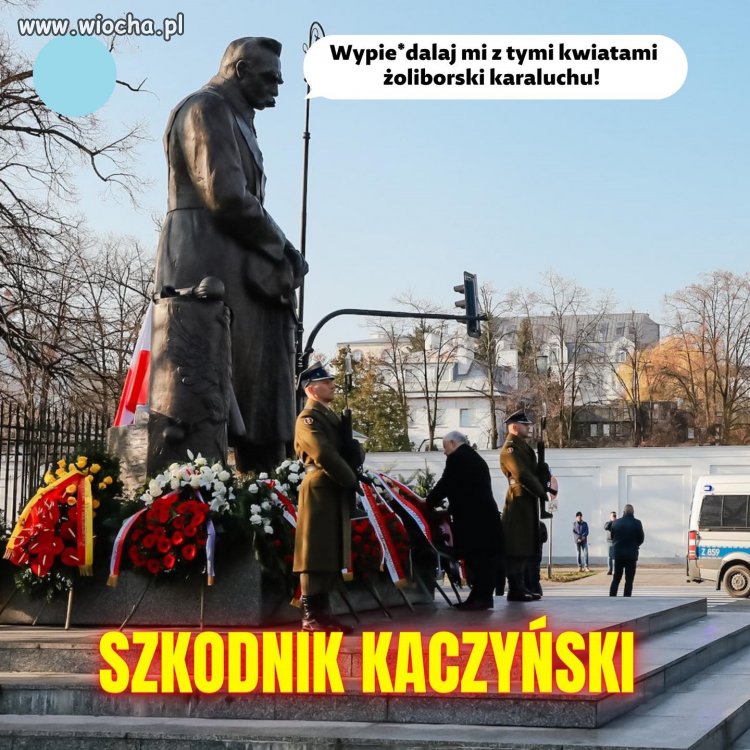 Krótko i na temat ...