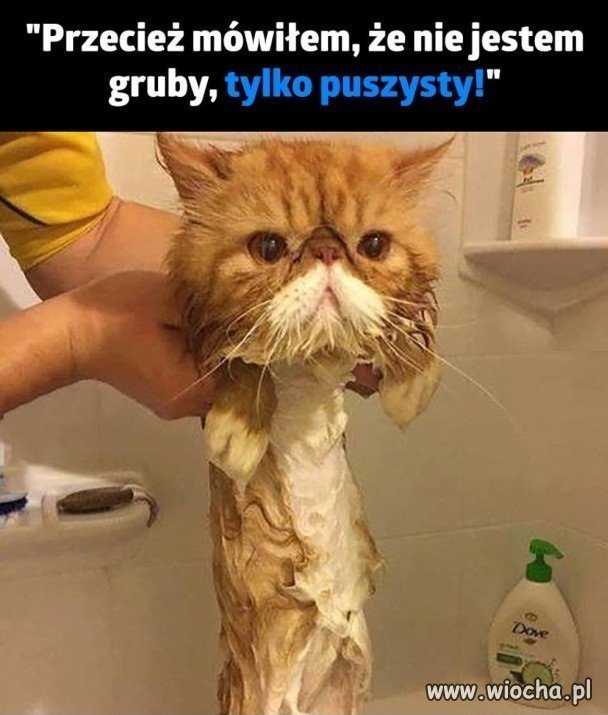 No właśnie
