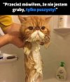 No właśnie