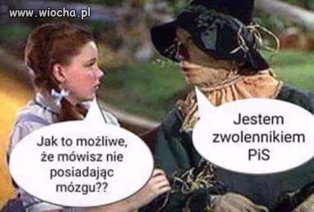 I wszystko 
