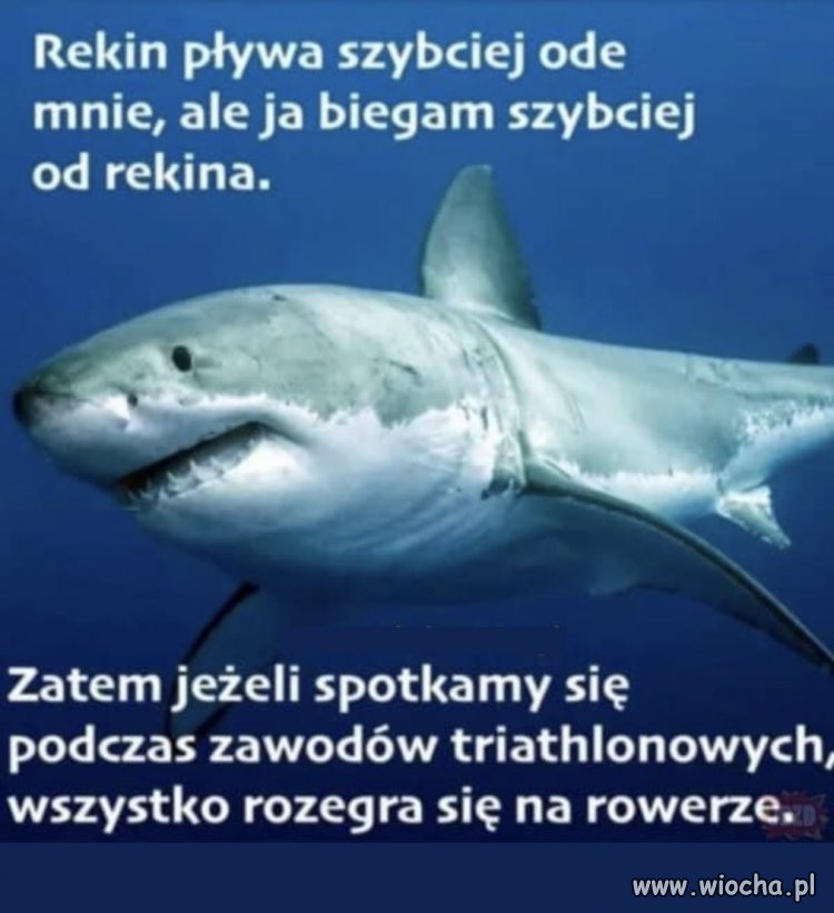 I wszystko jasne