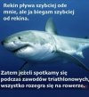 I wszystko jasne