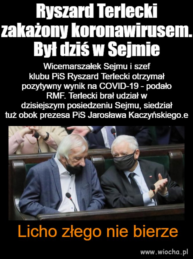 Spokojnie 