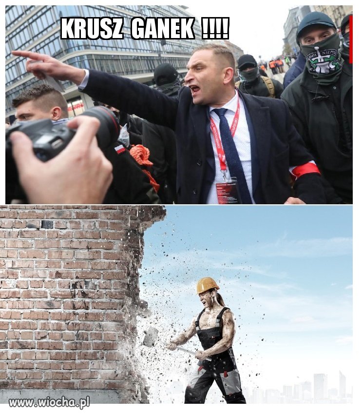 Bąk Budowniczy