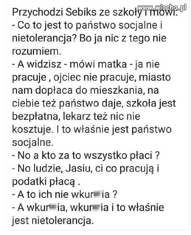 Państwo socjalne 