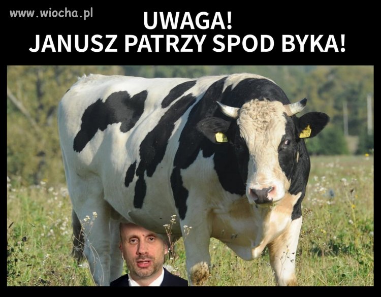 Te groźne spojrzenie 