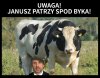 Te groźne spojrzenie 