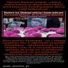 Episkopat przerażony protestami, nabrali wody w usta!