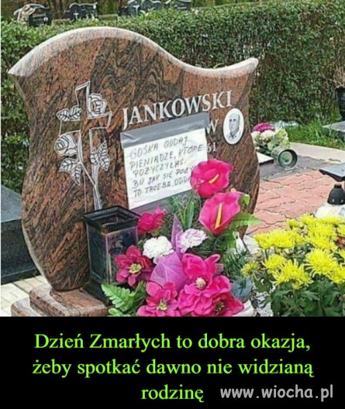 Nawet tu potrafią sobie dogryźć 