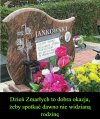 Nawet tu potrafią sobie dogryźć 