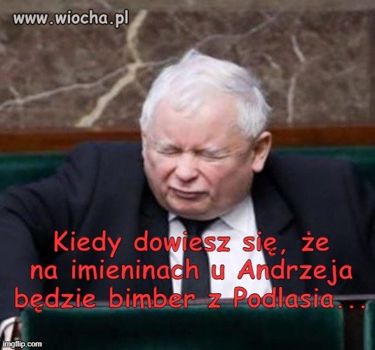 Wyjazdy na granicę 