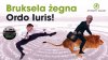 W 2020 r włączyli się walkę z ruchami fundamentalnymi