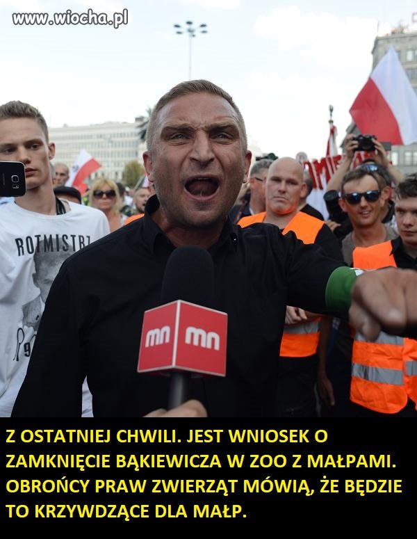 Biedne małpy