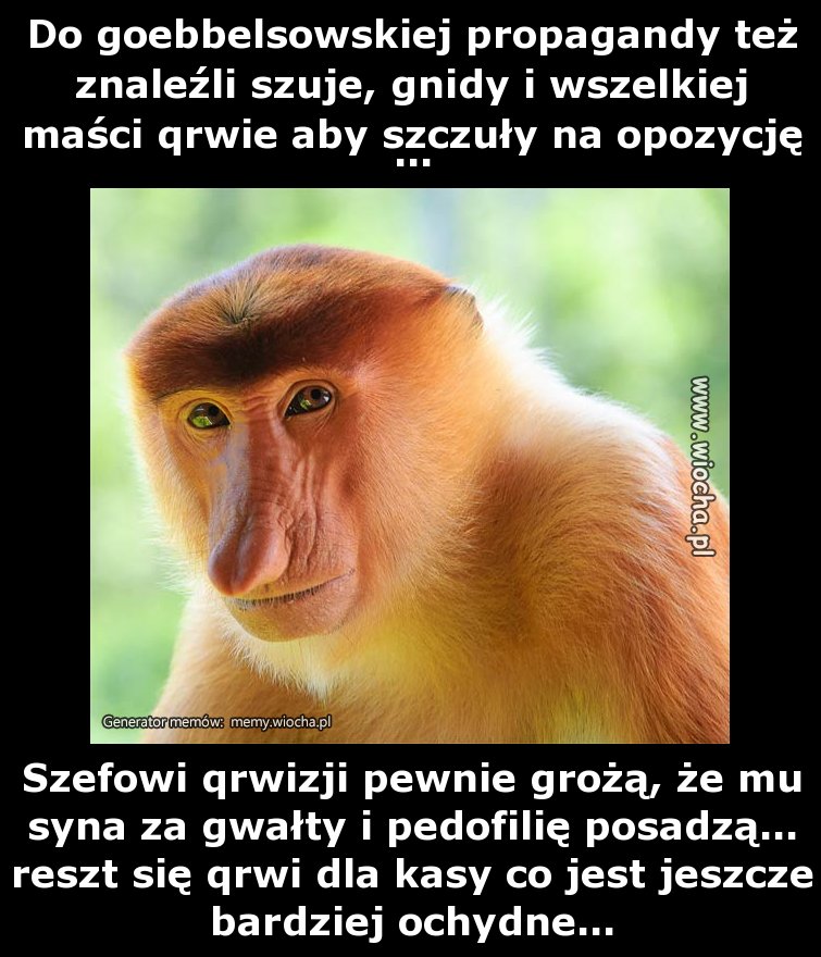 Do goebbelsowskiej propagandy też znaleźli szuje,