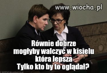 Wybory kandydata pis na prezydenta