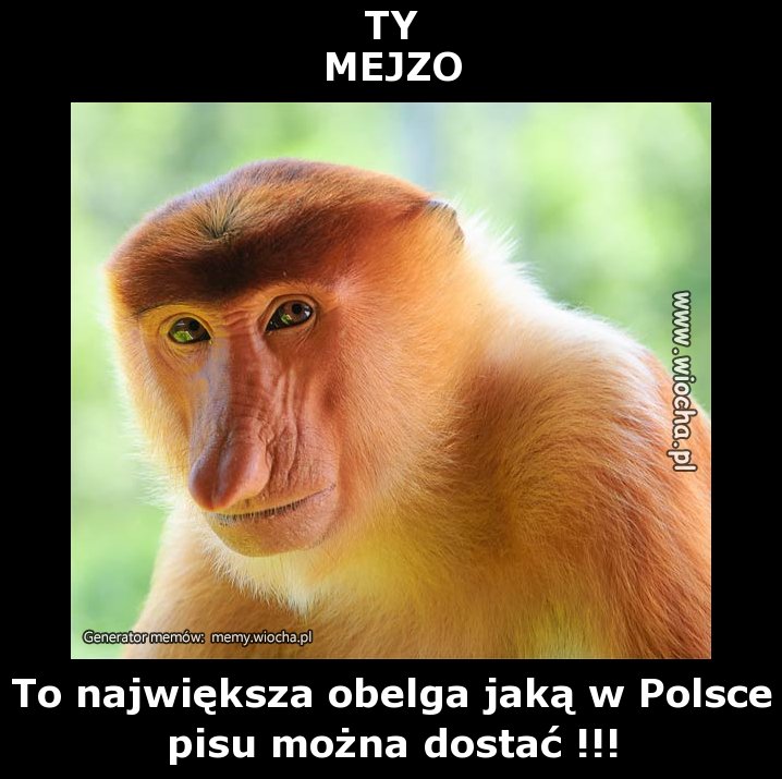TY
MEJZO