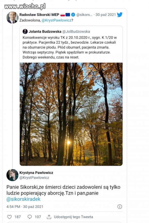 Spyerdolenie umysłowe panny krysi
