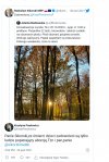 Spyerdolenie umysłowe panny krysi