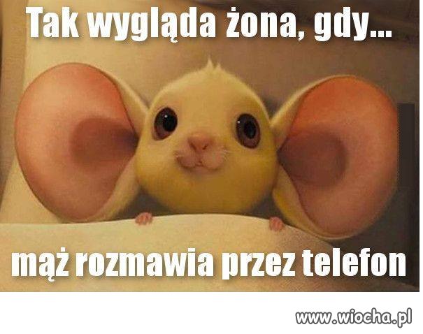 Tak jest