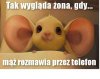 Tak jest