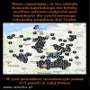 Sekta kościoła też w tym maczała palce...
