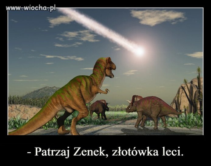 Złotówka leci
